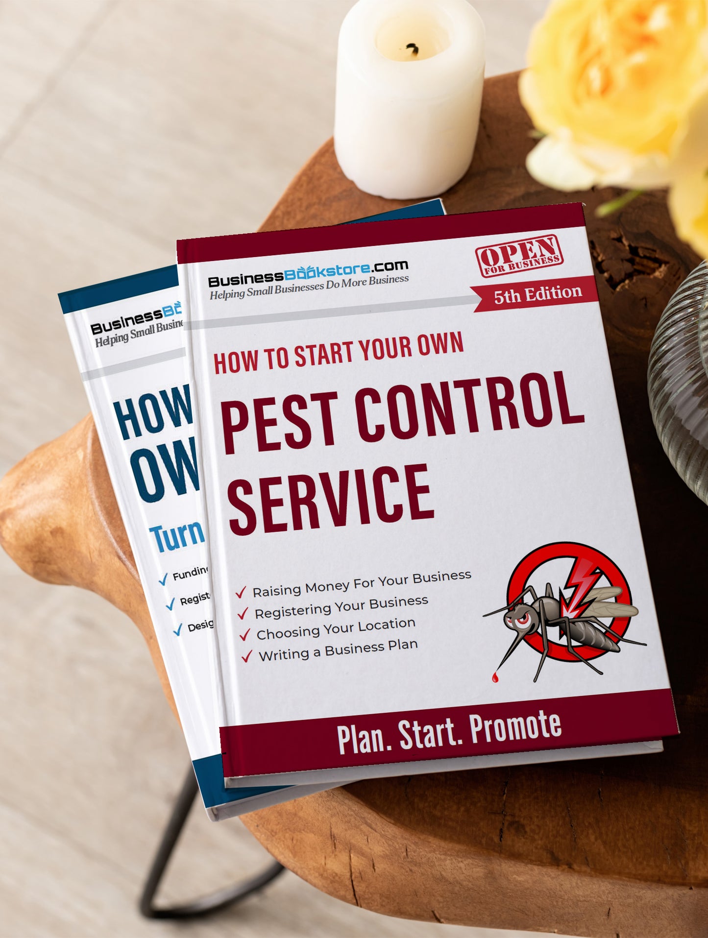 How to Start Your Own Pest Control Service