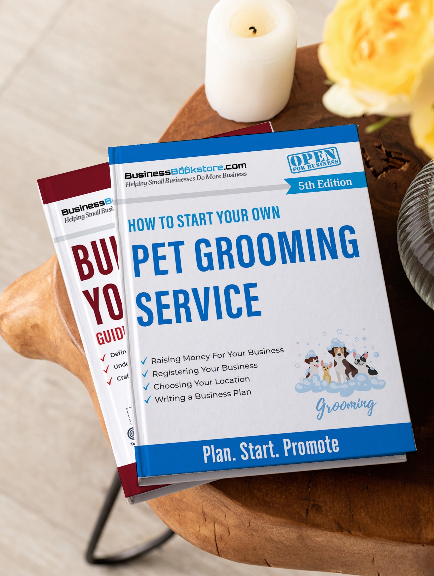 How to Start Your Own Pet Grooming Business